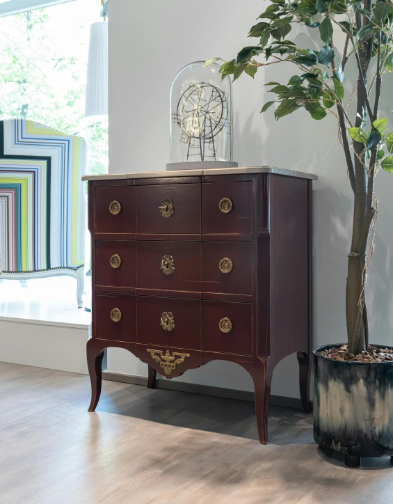 a wooden chest of drawers next to a potted plant, inspired by Pierre-Joseph Redouté, unsplash, baroque, museum display, maroon, chocolate, polished white marble