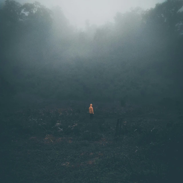 a person standing in the middle of a field, a picture, inspired by Elsa Bleda, pexels contest winner, eerie jungle, ominous foggy environment, instagram photo, somber colors