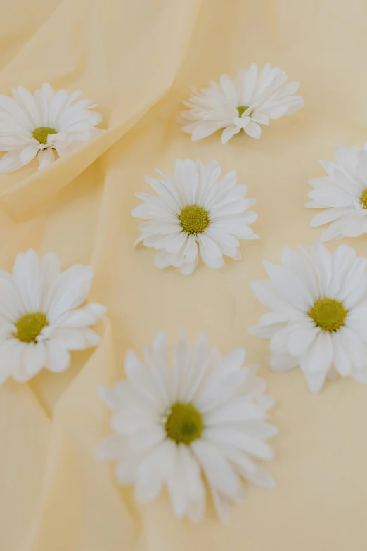 a bunch of white flowers sitting on top of a bed, with yellow cloths, floating detailes, white backdrop, top - down photograph