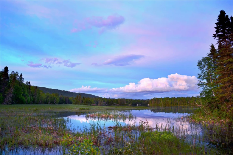 a body of water surrounded by trees and grass, unsplash, land art, pink clouds in the sky, lapland, ai weiwei and gregory crewdson, purple sky