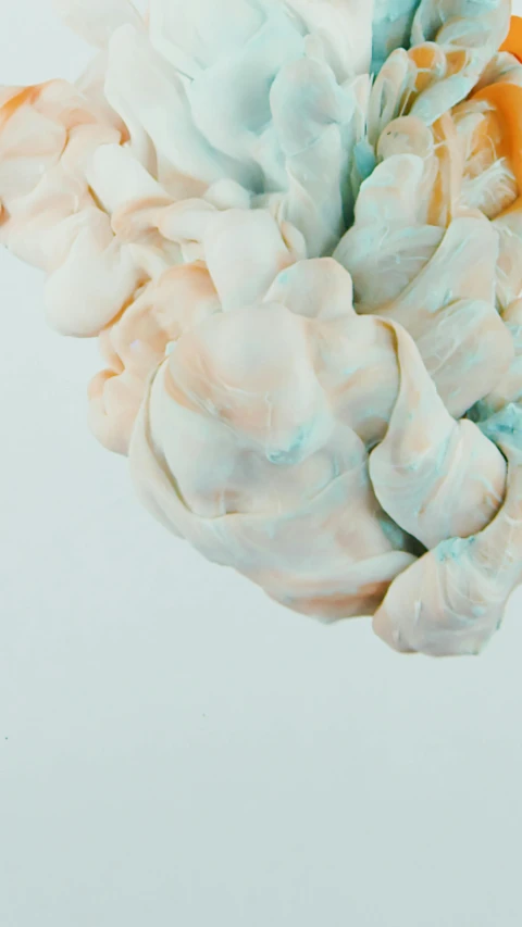 a close up of a flower on a white surface, an abstract sculpture, inspired by Lynda Benglis, unsplash, cotton candy clouds, soft orange and cyan highlights, film render, white clay