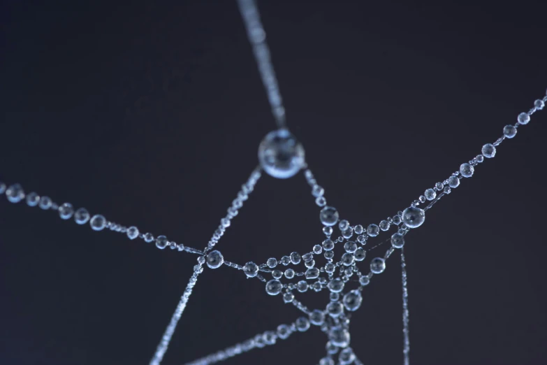 a spider web covered in water droplets, a macro photograph, by Adam Marczyński, unsplash, conceptual art, featuring rhodium wires, ilustration, highly detailed product photo, intricate 8 k render