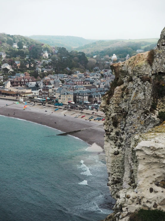 a bird sitting on top of a cliff next to the ocean, large windows to french town, beach is between the two valleys, d-day, flatlay