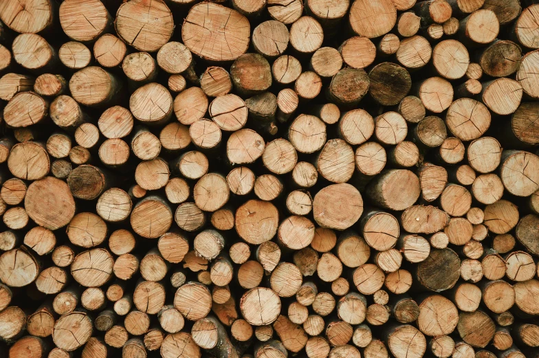 a pile of wood stacked on top of each other, by Carey Morris, pexels contest winner, instagram post, profile image, thumbnail, full shot