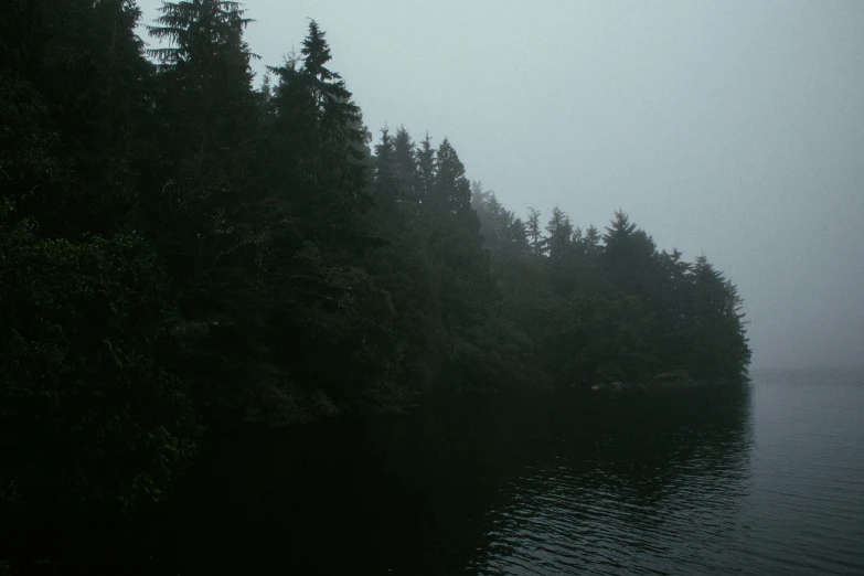 a body of water surrounded by trees on a foggy day, a picture, haida gwaii, low quality photo, creepy mood, ((forest))