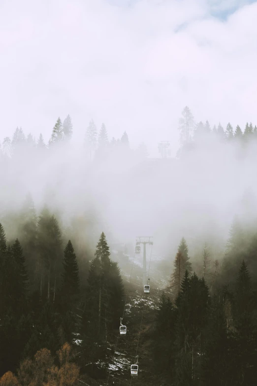 a train traveling through a forest covered in fog, inspired by Elsa Bleda, pexels contest winner, chairlifts, gray clouds, ((forest)), towering high up over your view