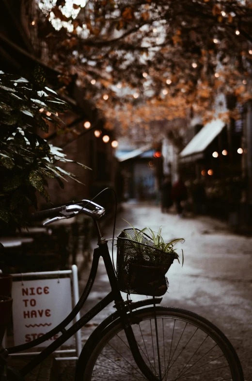 a bicycle parked on the side of a street, by Niko Henrichon, pexels contest winner, lush tress made of city lights, a quaint, seasonal, vintage photo