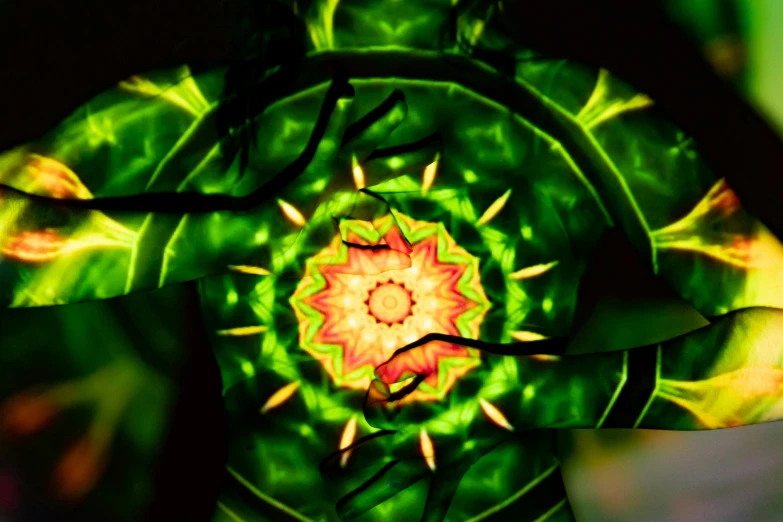 a close up of a plant with green leaves, digital art, inspired by Alex Grey, psychedelic art, with glowing runes on the body, seen through a kaleidoscope, entire person visible, second life avatar