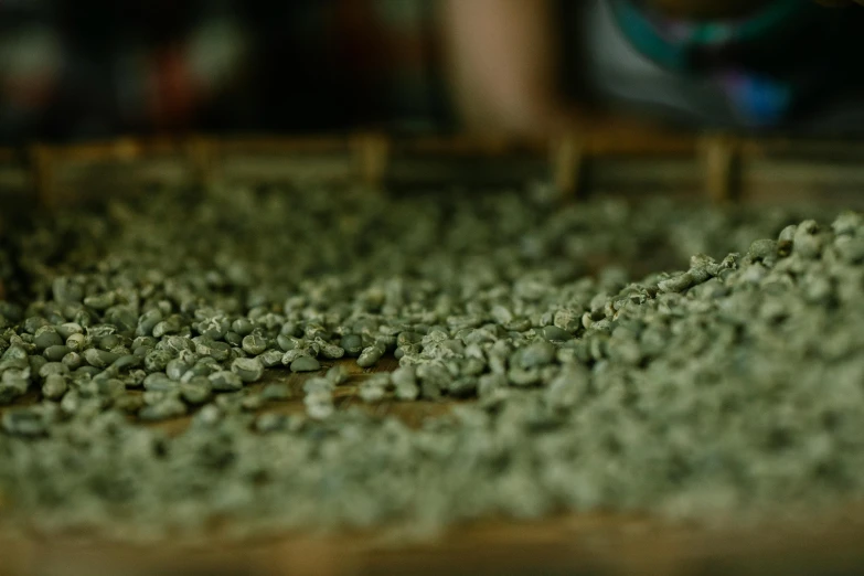 a basket filled with lots of green beans, a macro photograph, trending on unsplash, process art, coffee beans, person in foreground, scales made of jade, with laser-like focus