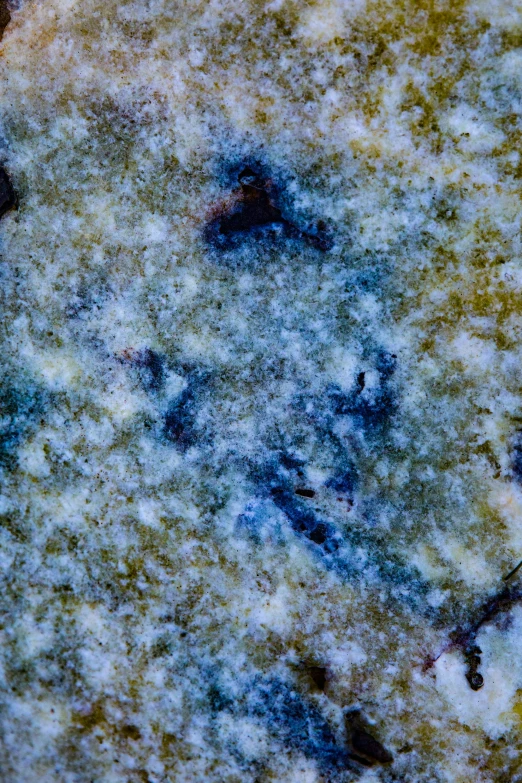 a close up of a cookie on a table, a microscopic photo, by Doug Ohlson, muted multi-color lapis, detail texture, blueish, portrait n - 9