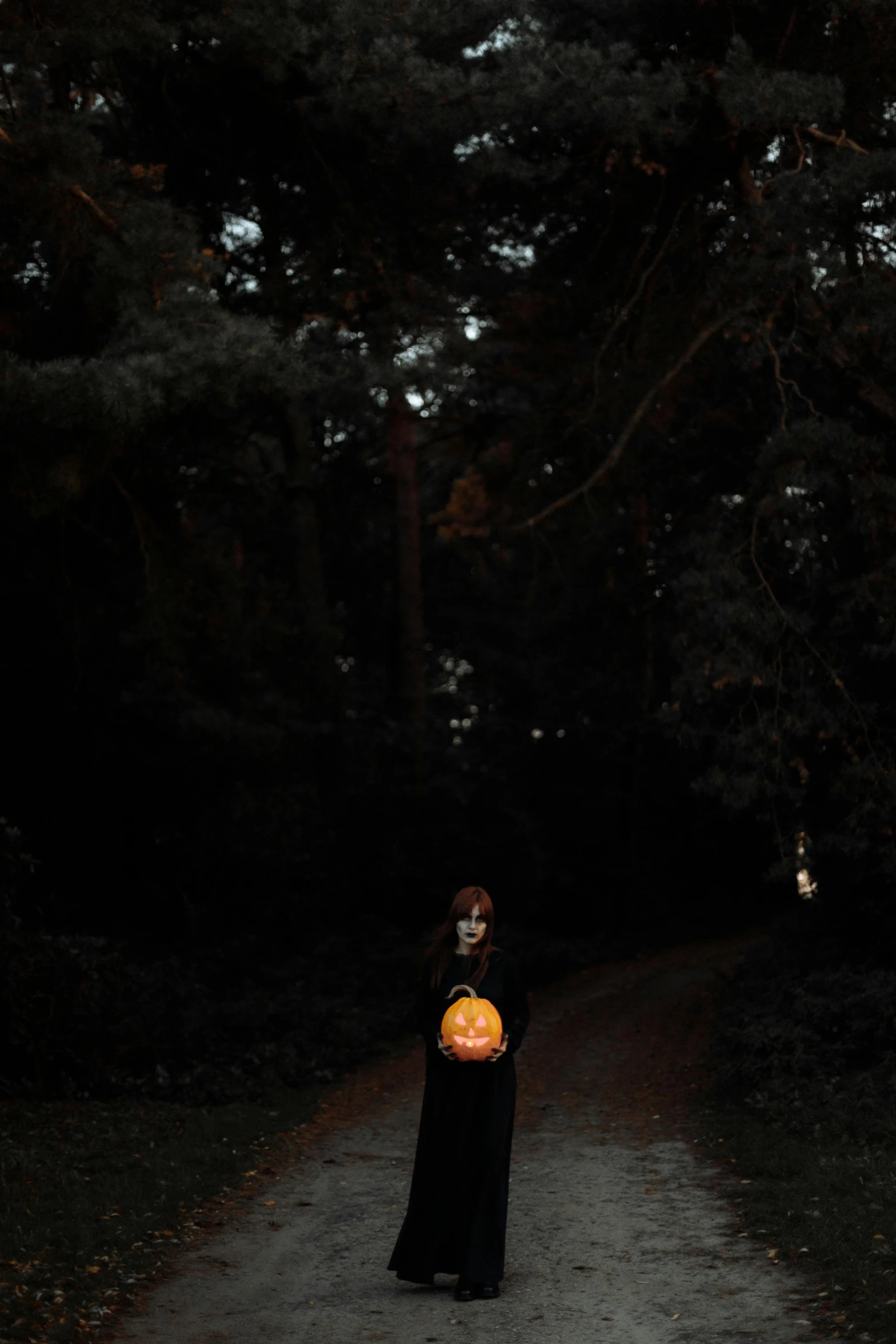 a woman in a black dress holding a pumpkin, by Thomas Furlong, pexels contest winner, dark forest and trees, taken on iphone 14 pro, ghoul, low iso