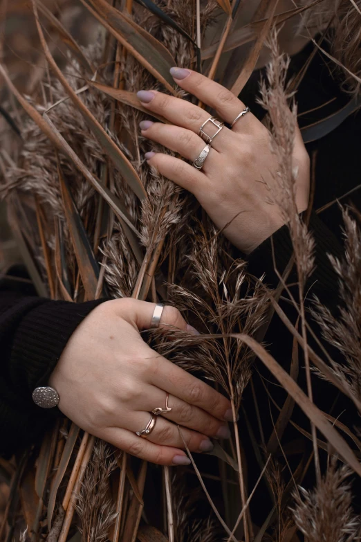 a close up of a person holding a bunch of grass, an album cover, inspired by Elsa Bleda, trending on pexels, aestheticism, wearing two metallic rings, silver，ivory, autumn, gothic aesthetic