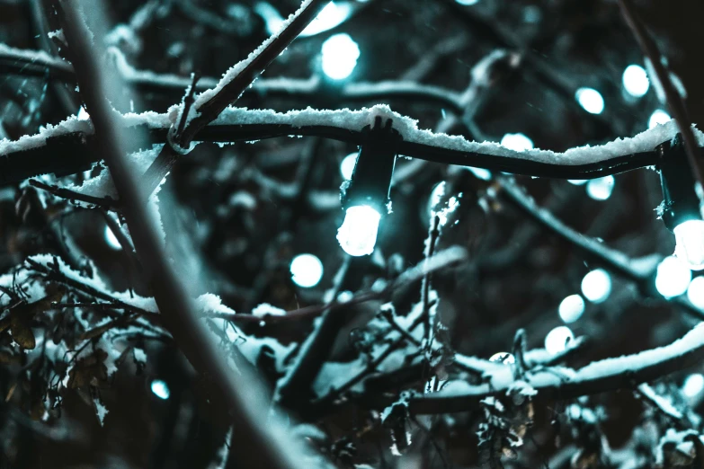 a close up of a tree covered in snow, an album cover, inspired by Elsa Bleda, pexels contest winner, magical realism, teal neon lights, string lights, dark and white, unsplash 4k