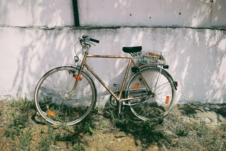 a bicycle that is leaning against a wall, posing for camera