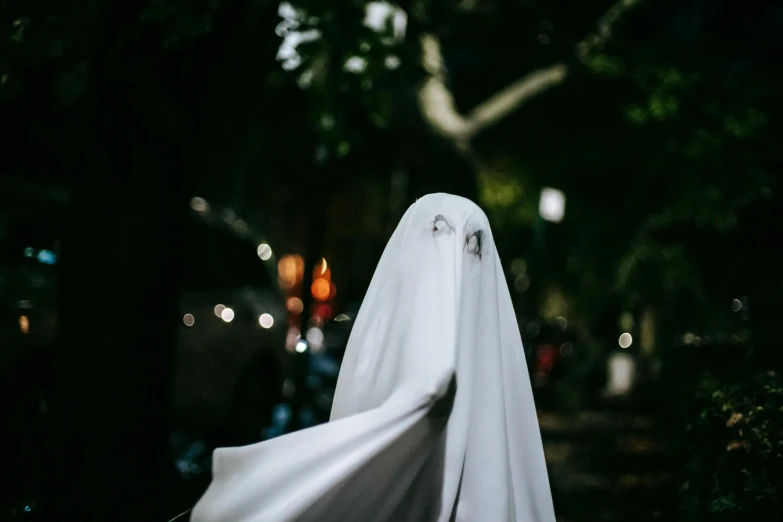 a close up of a person wearing a ghost costume, pexels contest winner, ☁🌪🌙👩🏾, big long cloth on the wind, a person standing in front of a, spooked