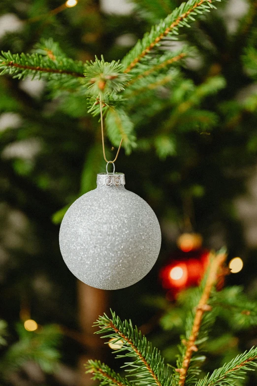 a christmas ornament hanging from a christmas tree, a stipple, pexels, light grey, mini model, white pearlescent, next to a tree