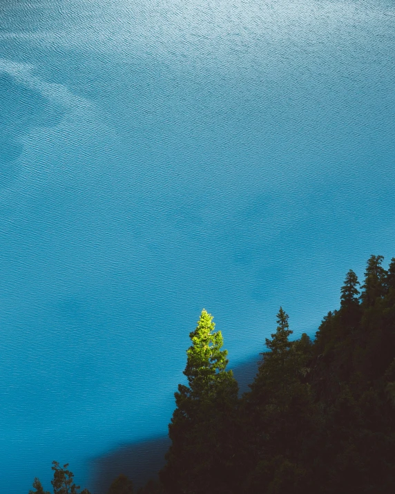 a large body of water surrounded by trees, unsplash contest winner, minimalism, lightening tree, evergreen valley, yellow and blue, photo of zurich