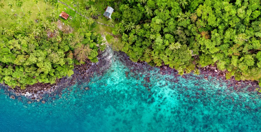 a large body of water surrounded by trees, by Daren Bader, pexels contest winner, tropical reef, flatlay, thumbnail, 8k 4k