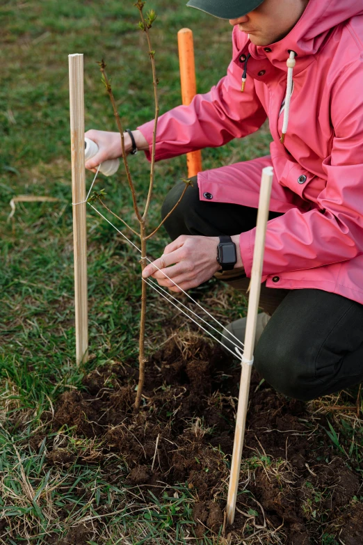 a man kneeling down to plant a tree, unsplash, land art, with fruit trees, roots and hay coat, close - up photo, rectangle
