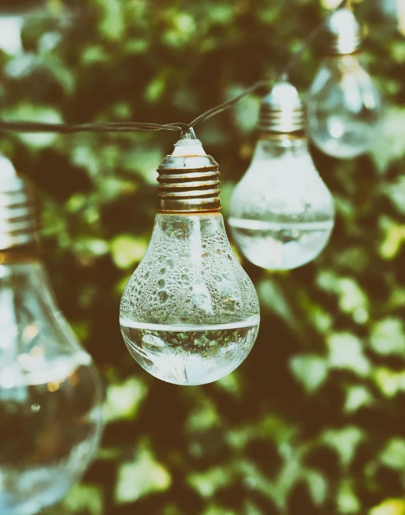 a string of light bulbs hanging from a tree, pexels, water is made of stardust, solar punk product photo, retro stylised, a green