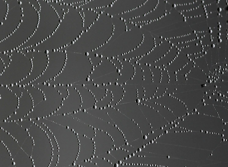 a spider web with water droplets on it, an ultrafine detailed painting, inspired by Vija Celmins, featured on zbrush central, on the surface of the moon, streamlined spines, drawn with dots, computer wallpaper