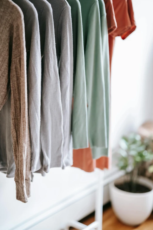 clothes hanging on a rack next to a potted plant, trending on unsplash, muted colors. ue 5, long sleeves, inspect in inventory image, green and brown clothes