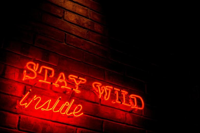 a neon sign on the side of a brick building, by Adam Marczyński, pexels contest winner, wild jungle, inside a bar, slay, red and obsidian neon