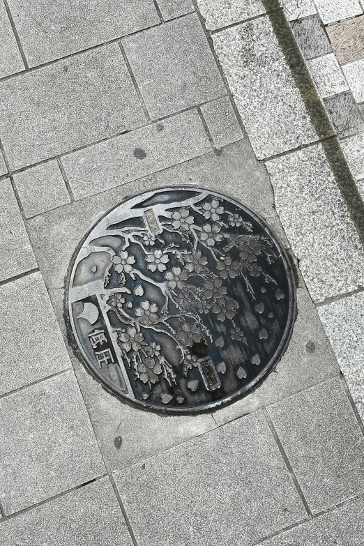 a manhole cover sitting on the side of a sidewalk, an album cover, inspired by Ryōhei Koiso, cherry blossom tree, intricate metal, taken in the early 2020s, hikkikomori