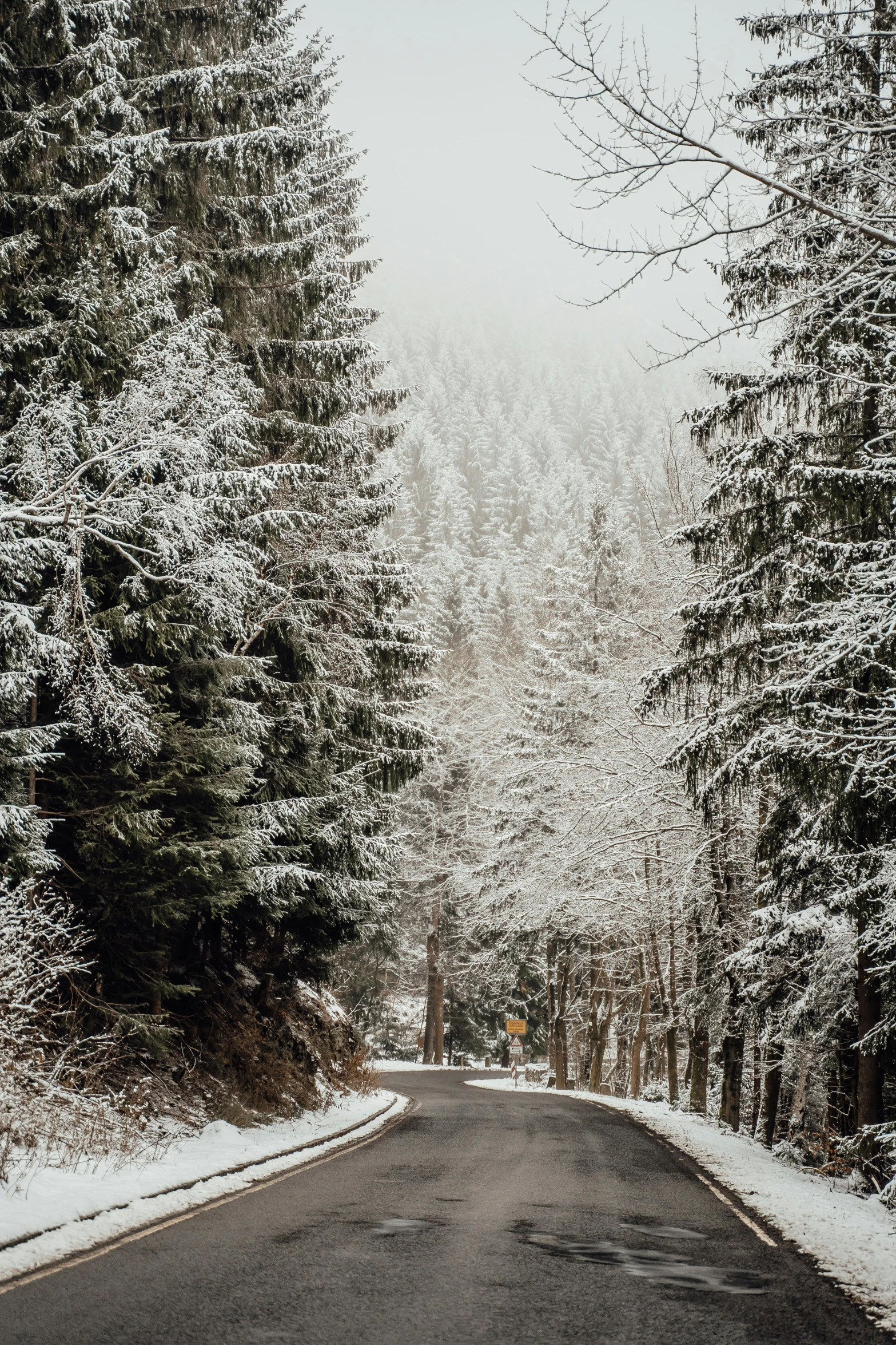 a road in the middle of a forest covered in snow, slide show, fan favorite, ca, german