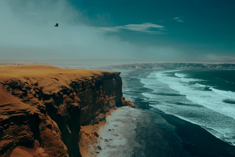 a bird flying over a beach next to the ocean, a matte painting, pexels contest winner, chilean, ocean cliff view, avatar image, desert photography