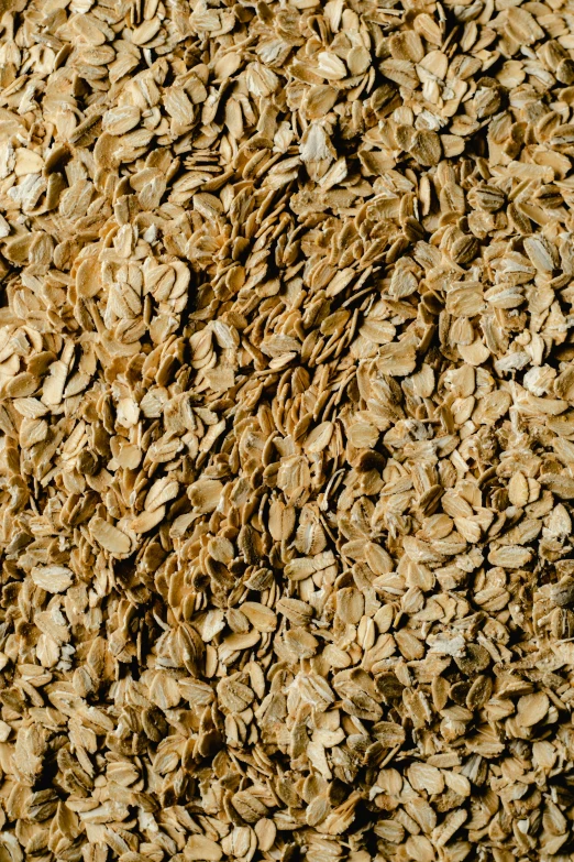a pile of oatmeal sitting on top of a table, detailed product image, full frame image, medium blonde, organic detail