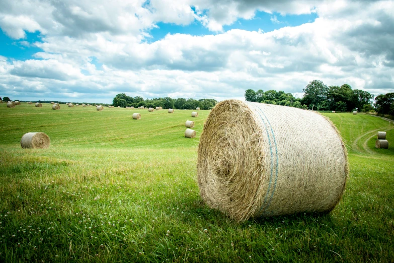 a bunch of hay sitting on top of a lush green field, commercial photograph, round-cropped, beautiful surroundings, conor walton