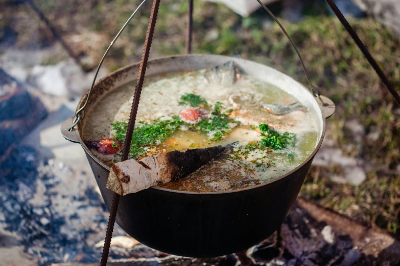 a pot filled with soup sitting on top of a fire, meat and lichens, midsommar style, crab, thumbnail