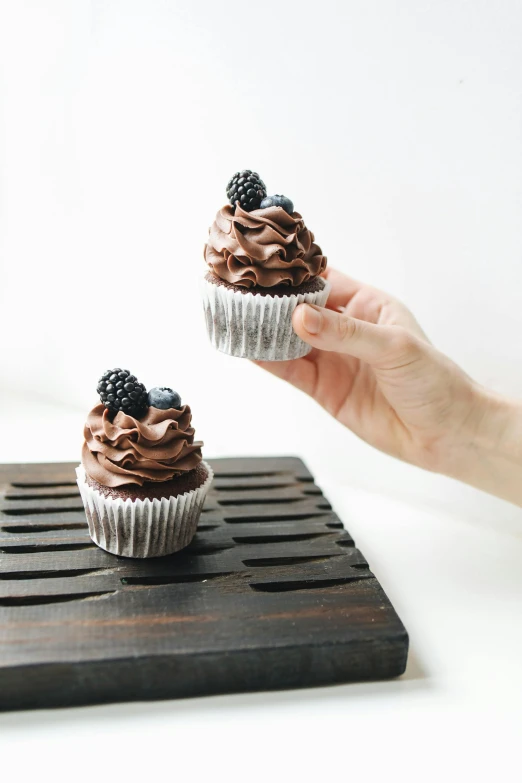 a person holding a cupcake with chocolate frosting, by Lucia Peka, trending on unsplash, photorealism, “berries, on a wooden tray, grey, high quality photo