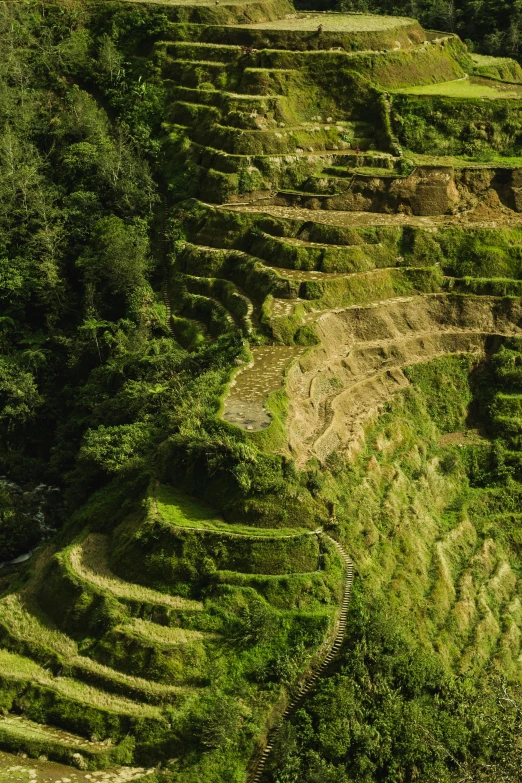 a group of steps that are on the side of a hill, pexels contest winner, sumatraism, rows of lush crops, philippines, helicopter view, panoramic