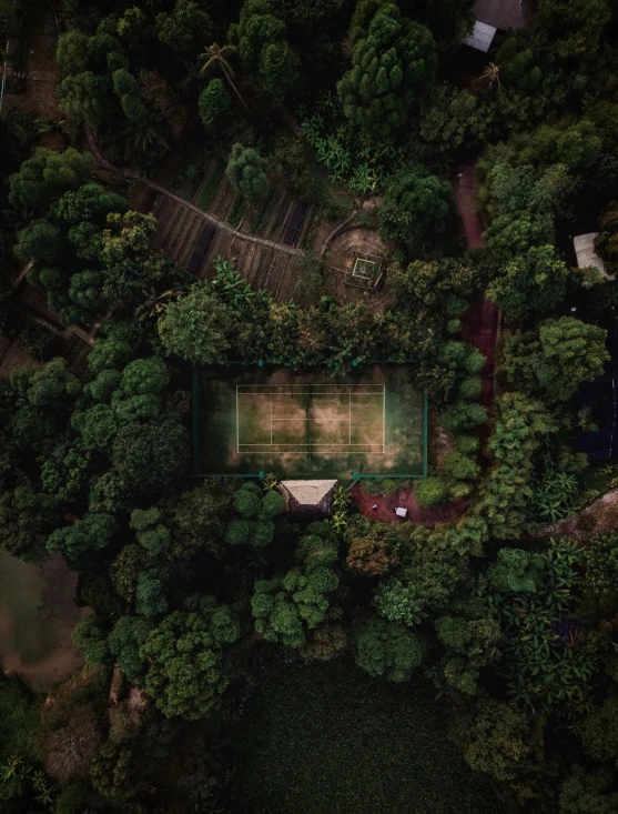 an aerial view of a tennis court surrounded by trees, pexels contest winner, malaysia jungle, portrait shot 8 k, low light, garden