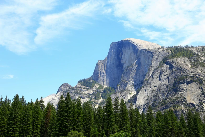 a herd of cattle grazing on top of a lush green field, a picture, unsplash, renaissance, yosemite valley, avatar image, big sharp rock, a massive cathedral in a forrest