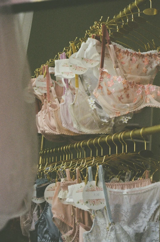 a bunch of underwear hanging on a rack, by Elsa Bleda, rococo, pink and gold, grainy vintage, y 2 k aesthetic, girls