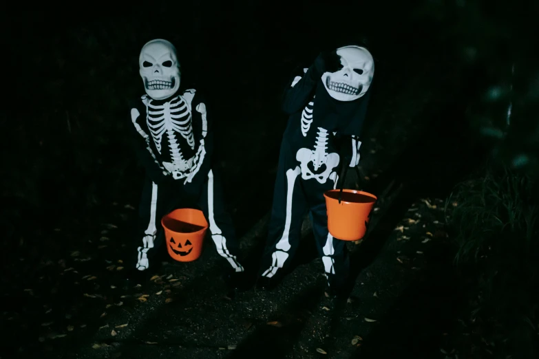 a couple of skeletons standing next to each other, a cartoon, pexels, vanitas, trick or treat, kids playing, dark outside, they are crouching