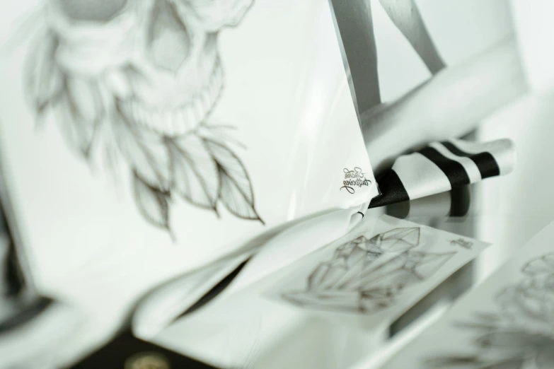 an open book with a drawing of an owl on it, an ink drawing, inspired by Emily Shanks, featured on behance, process art, silver accessories, close up shot from the side, glass skull, glossy white metal