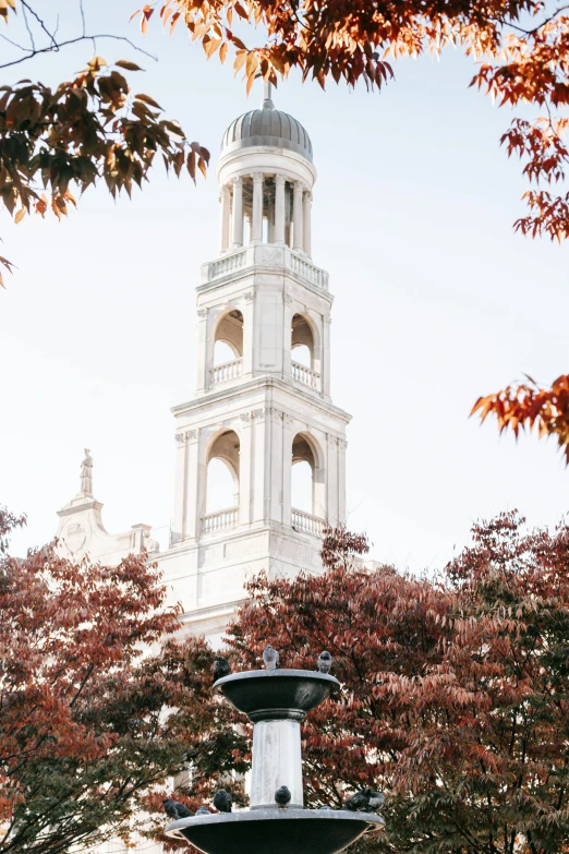 a water fountain with a clock tower in the background, inspired by Christopher Wren, trending on unsplash, muted fall colors, neoclassical tower with dome, amongst foliage, san francisco