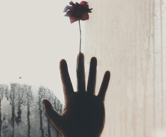 a person holding a flower in front of a window, by Lucia Peka, pexels contest winner, raised hand, my blood is boiling, holding a 🛡 and an 🪓, tall thin