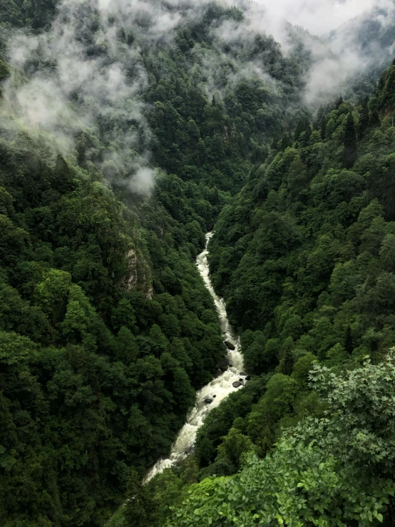 a river running through a lush green forest, by Muggur, towering high up over your view, inside a gorge, rain falling, grey