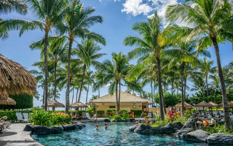 an outdoor swimming pool surrounded by palm trees, by Drew Tucker, pexels contest winner, hobbit monastery on hawaii, avatar image, family photo, beachfront