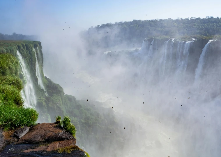 a view of the victoria falls in victoria falls national park victoria falls victoria falls victoria falls victoria falls victoria falls victoria falls victoria falls victoria falls victoria, pexels contest winner, birds flying away from explosion, avatar image, brazilian, youtube thumbnail