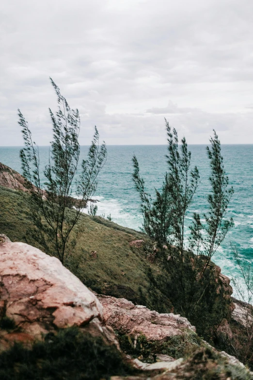 a man standing on top of a cliff next to the ocean, by Robbie Trevino, trending on unsplash, trees in the grassy hills, ocean spray, as well as scratches, australian beach