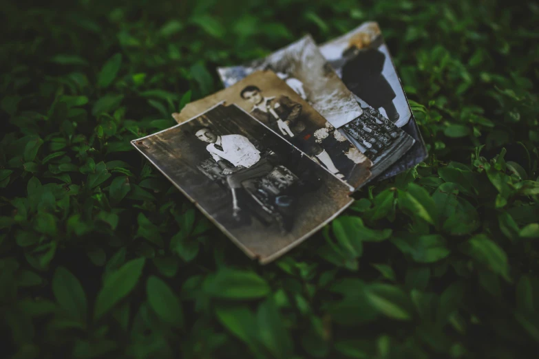 a couple of old photos laying on top of a lush green field, by Lucia Peka, unsplash, detailed medium format photo, very old photo, group portraits, detailed photograph high quality