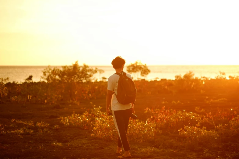 a person standing in a field with a frisbee, by Jessie Algie, pexels, happening, with a backpack, looking out at a red ocean, golden glow, amongst foliage