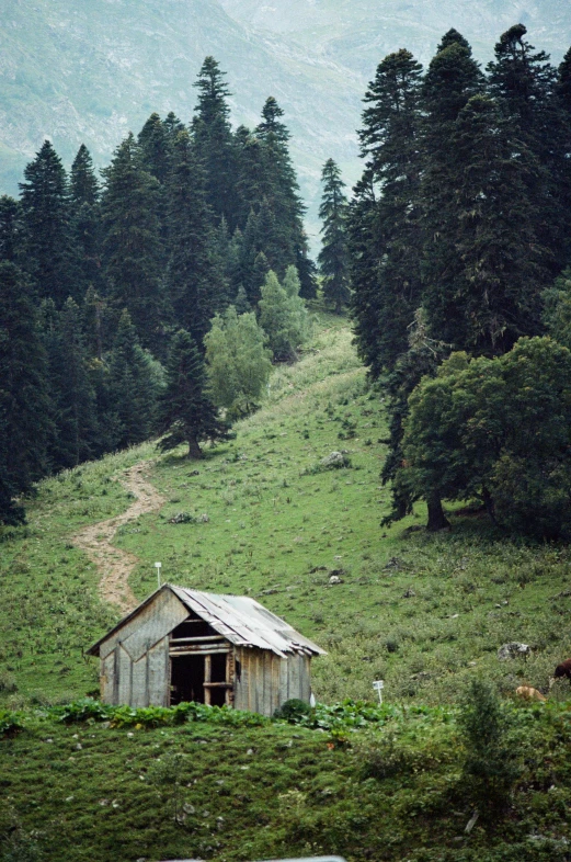 a barn sitting on top of a lush green hillside, by Muggur, renaissance, solo hiking in mountains trees, kodak film, tiny house, ox