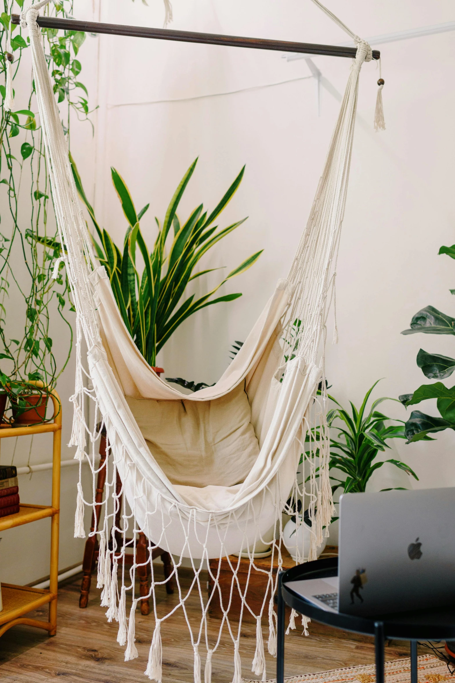 a hammock hanging in a living room next to a laptop, inspired by Elsa Bleda, trending on unsplash, lush plant growth, cream - colored room, sitting in fancy chair, in a white boho style studio